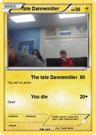 Pokemon Tate Dannemiller