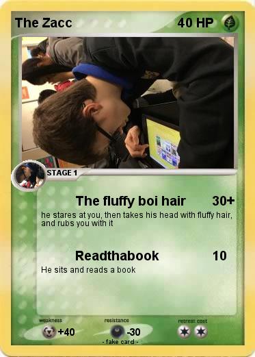 Pokemon The Zacc