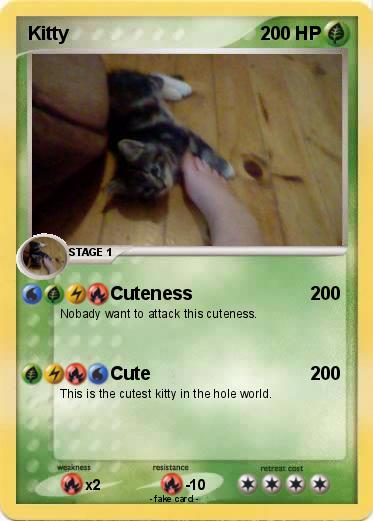 Pokemon Kitty