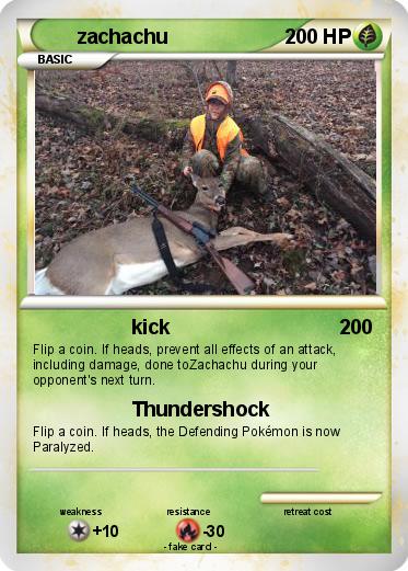 Pokemon zachachu
