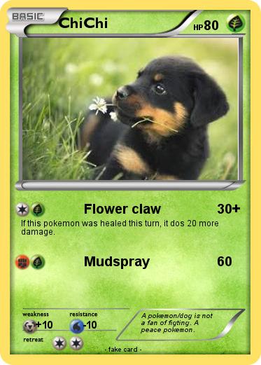 Pokemon ChiChi