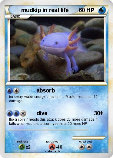 Pokemon mudkip in real life