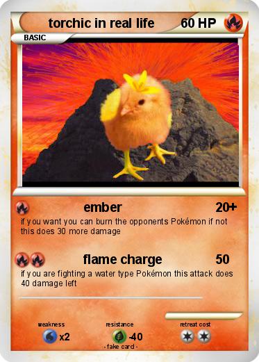 Pokemon torchic in real life
