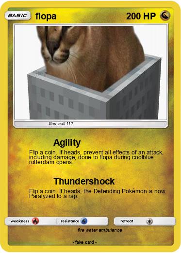 Pokemon flopa