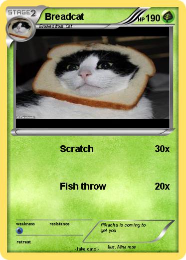Pokemon Breadcat