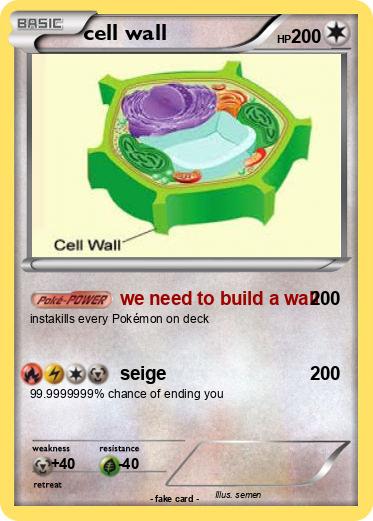 Pokemon cell wall