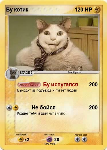 Pokemon Бу котик
