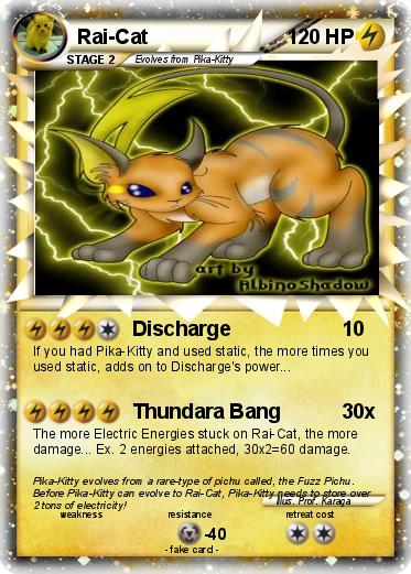 Pokemon Rai-Cat