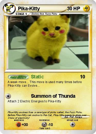 Pokemon Pika-Kitty