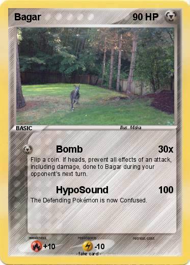 Pokemon Bagar