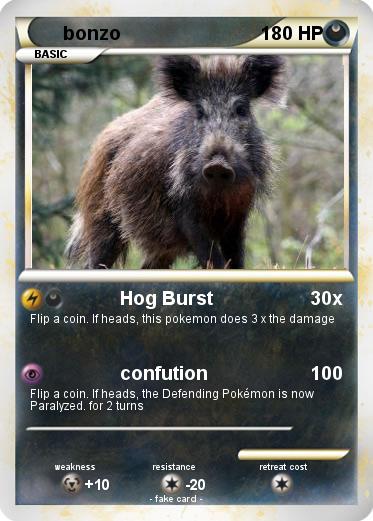 Pokemon bonzo