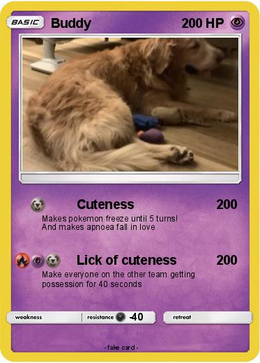 Pokemon Buddy