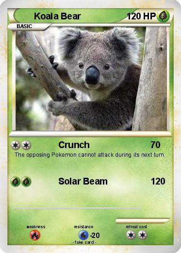 Pokemon Koala Bear