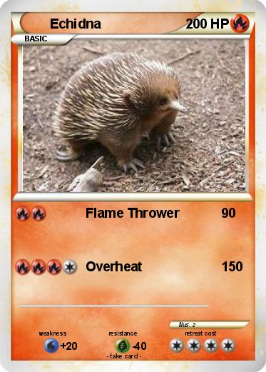 Pokemon Echidna