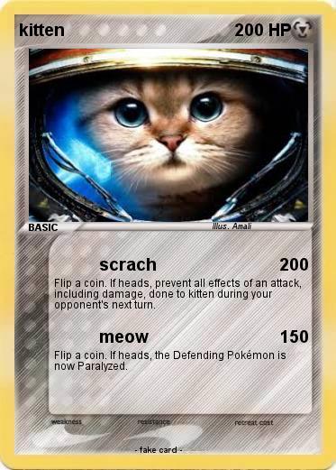 Pokemon kitten