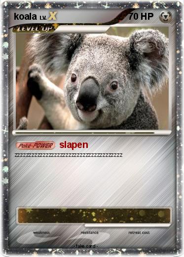 Pokemon koala