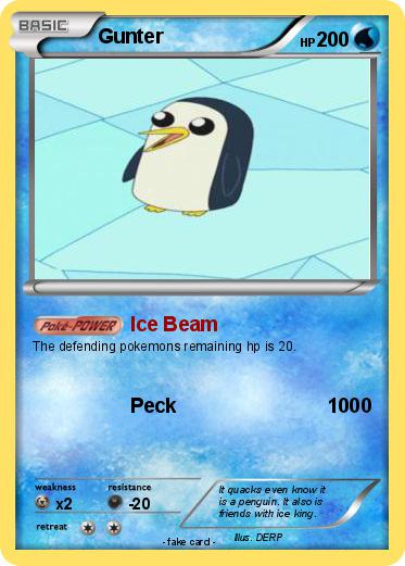 Pokemon Gunter