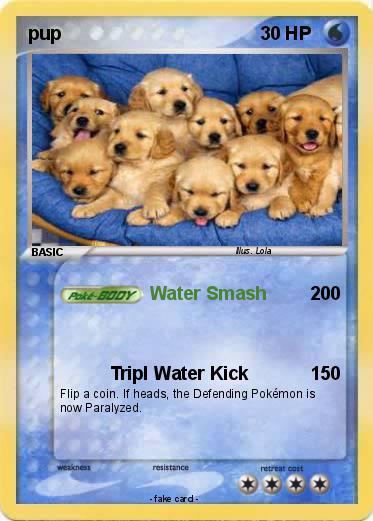 Pokemon pup