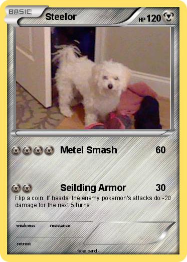 Pokemon Steelor