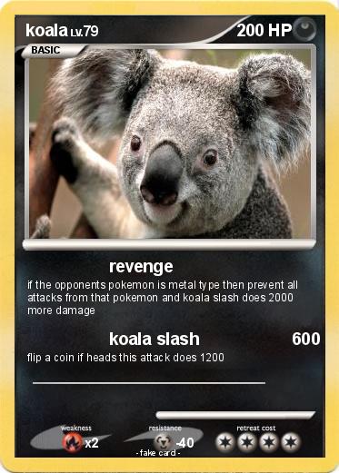 Pokemon koala