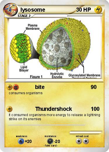 Pokemon lysosome