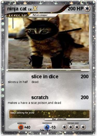 Pokemon ninja cat