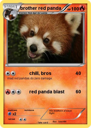 Pokemon brother red panda
