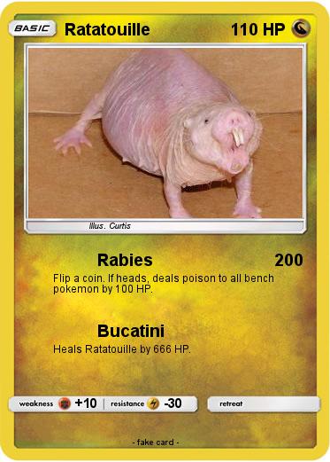 Pokemon Ratatouille
