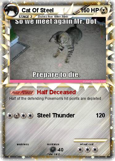 Pokemon Cat Of Steel