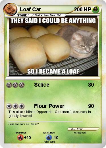 Pokemon Loaf Cat