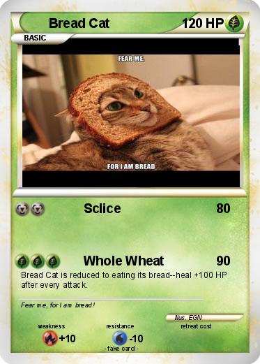 Pokemon Bread Cat