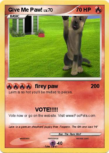 Pokemon Give Me Paw!