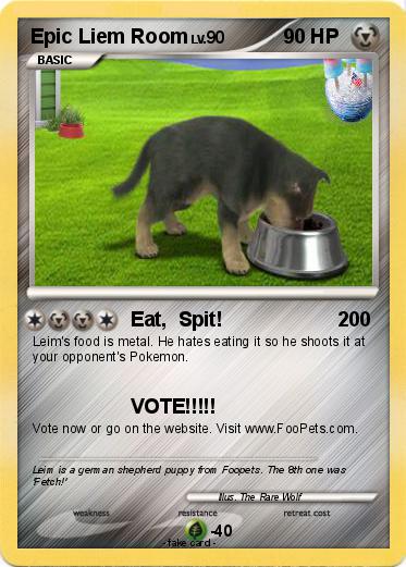 Pokemon Epic Liem Room