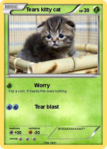 Pokemon Tears kitty cat