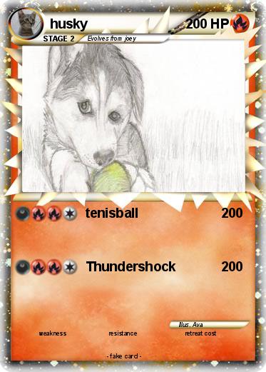Pokemon husky