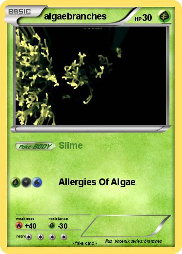 Pokemon algaebranches
