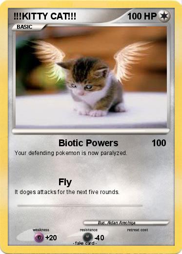 Pokemon !!!KITTY CAT!!!