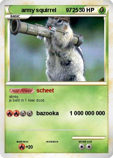 Pokemon army squirrel      9725