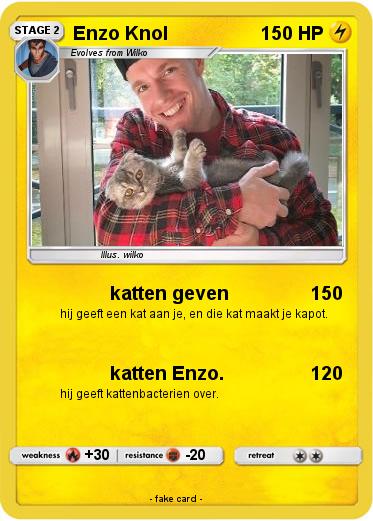 Pokemon Enzo Knol