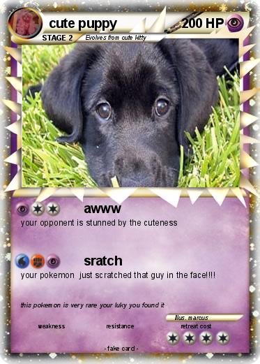 Pokemon cute puppy