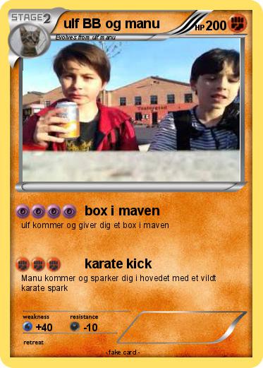 Pokemon ulf BB og manu