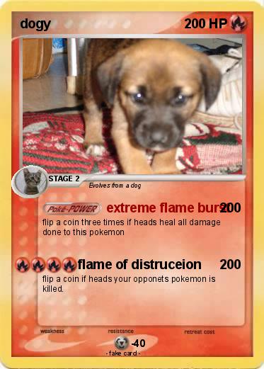 Pokemon dogy