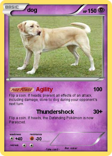 Pokemon dog