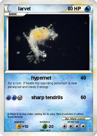 Pokemon larvet