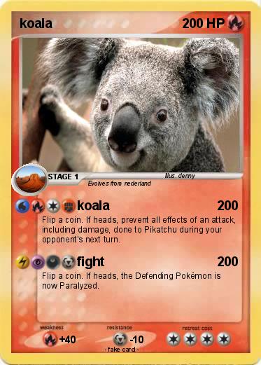 Pokemon koala