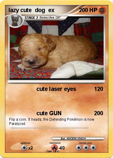Pokemon lazy cute  dog  ex                                                                                                                                                                                                                                             
