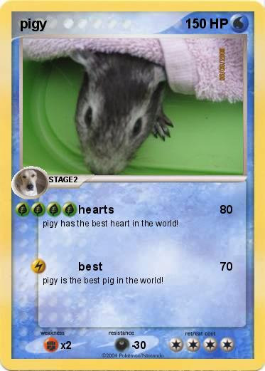 Pokemon pigy