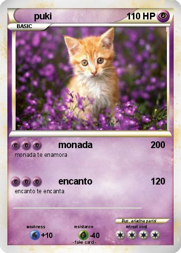 Pokemon puki