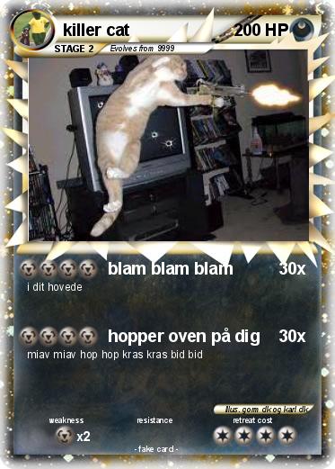 Pokemon killer cat