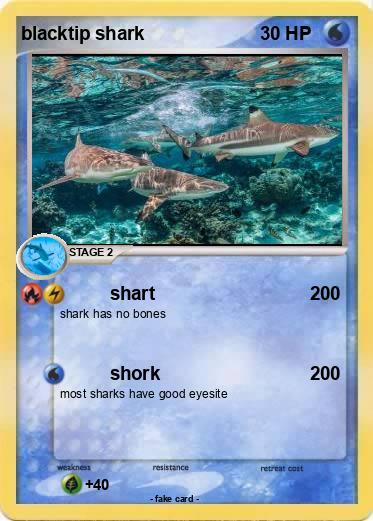 Pokemon blacktip shark